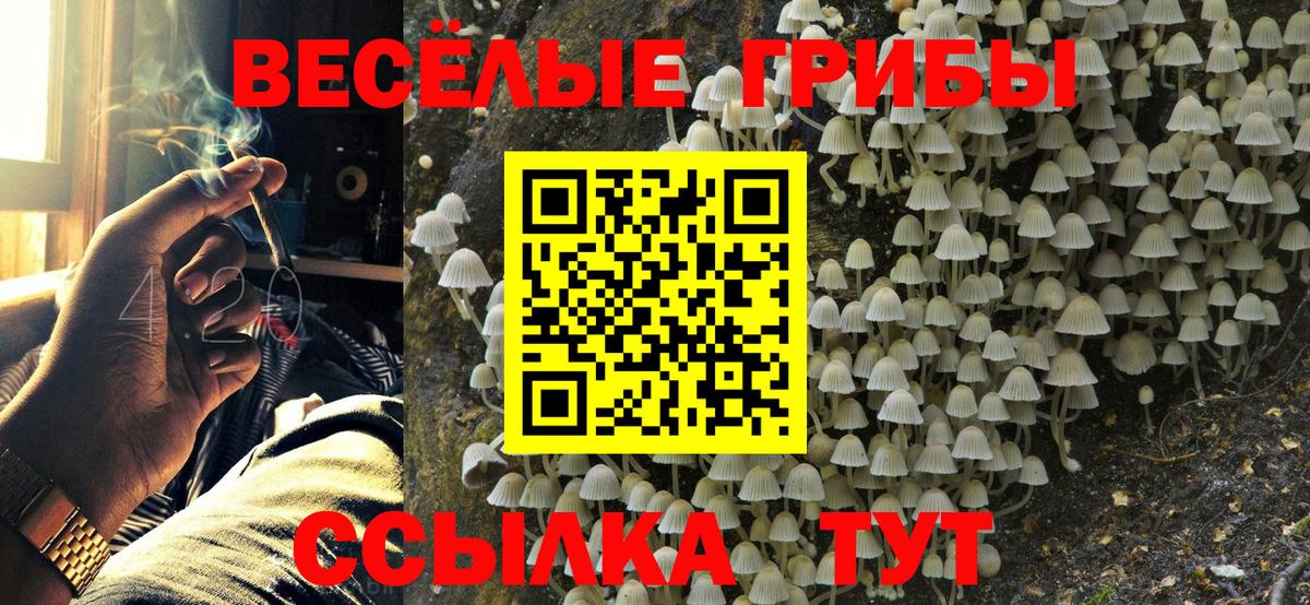 Псилоцибиновые грибы ЛСД Кирово-Чепецк